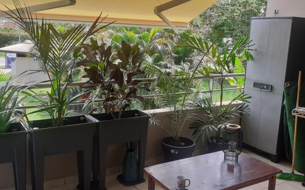 Appartement à vendre    3 pièces • 81,71 m2 Cayenne