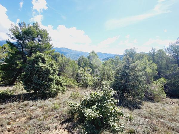 Parcelle boisée 2100 m2 non constructible - Château-Arnoux-Saint-Auban