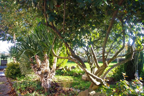 Charlieu (42190) Fermette 3 chambres 1000 m² de jardin