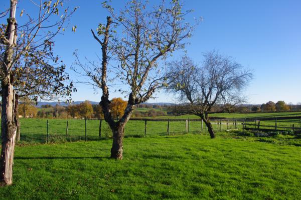 Charlieu (42190) Fermette 3 chambres 1000 m² de jardin