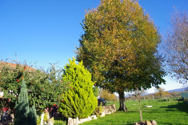 Charlieu (42190) Fermette 3 chambres 1000 m² de jardin