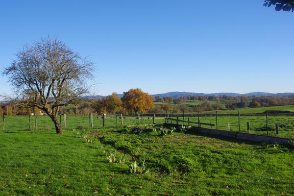 Charlieu (42190) Fermette 3 chambres 1000 m² de jardin