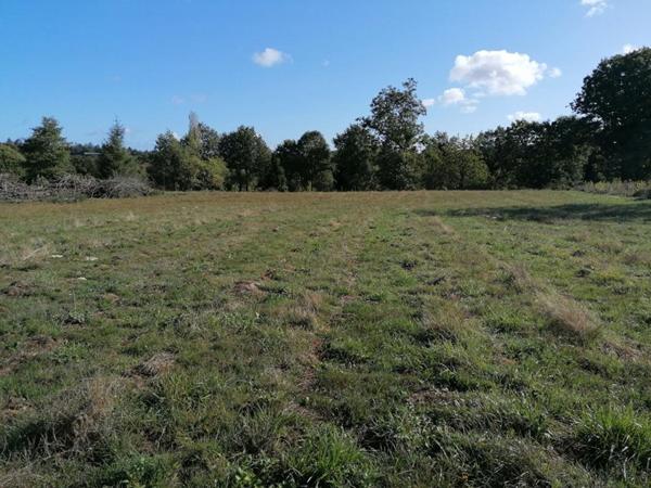 Ploërmel . Terrain exceptionnel de 4 000 m² avec 700 m² constructibles
