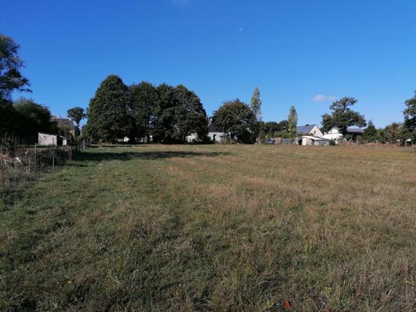 Ploërmel . Terrain exceptionnel de 4 000 m² avec 700 m² constructibles