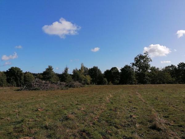 Ploërmel . Terrain exceptionnel de 4 000 m² avec 700 m² constructibles