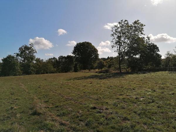 Ploërmel . Terrain exceptionnel de 4 000 m² avec 700 m² constructibles