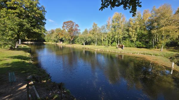 Terrain à vendre à Tinchebray-Bocage (61800) - Orne
