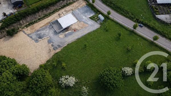 Terrain à vendre  3500 m 2   ST JUNIEN  - 87