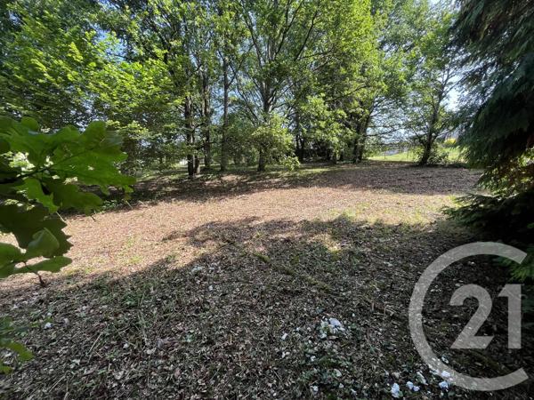 Terrain à vendre  3500 m 2   ST JUNIEN  - 87