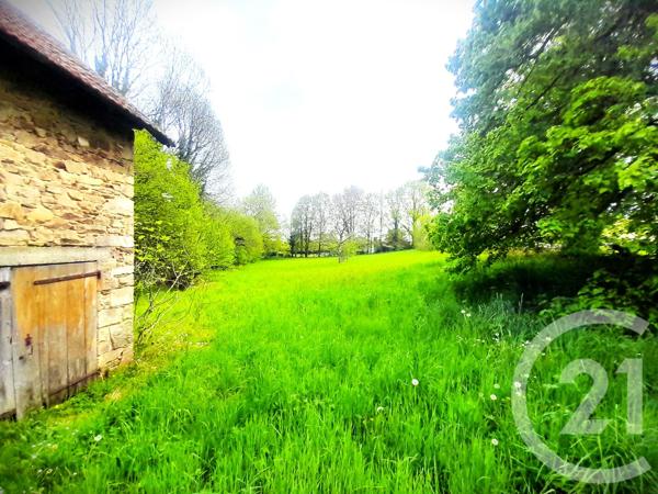 Terrain à vendre  3500 m 2   ST JUNIEN  - 87
