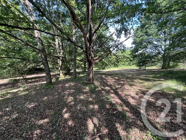 Terrain à vendre  3500 m 2   ST JUNIEN  - 87