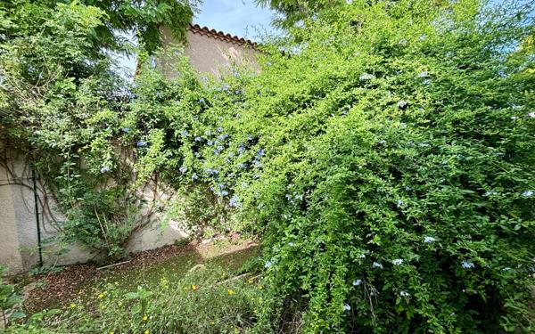 Maison à vendre    5 pièces •  Balaruc-les-Bains