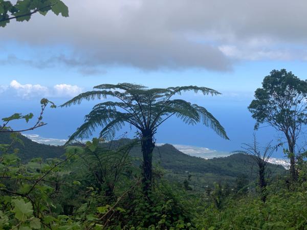 Propriétè Agricole de 22ha avec Gîte, chalet et étable aux MAKES