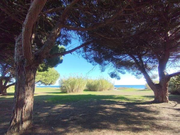 Appartement T2, résidence bord de mer et piscine à POGGIO MEZZANA (HAUTE CORSE)