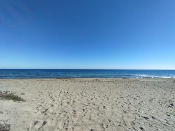 Appartement T2, résidence bord de mer et piscine à POGGIO MEZZANA (HAUTE CORSE)