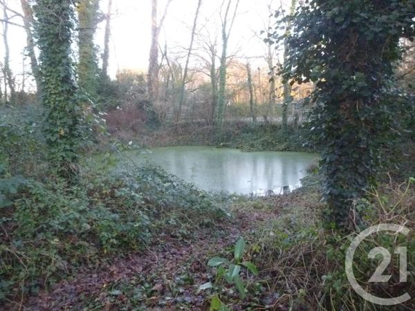 Maison à vendre  6 pièces - 181,48 m2 VILLEFRANCHE SUR CHER - 41