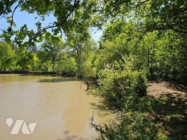 Dans un environnement boisé et paisible, découvrez cette propriété de loisirs d'environ 2 hecta...