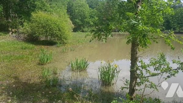 Dans un environnement boisé et paisible, découvrez cette propriété de loisirs d'environ 2 hecta...
