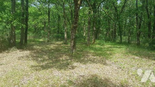 Dans un environnement boisé et paisible, découvrez cette propriété de loisirs d'environ 2 hecta...