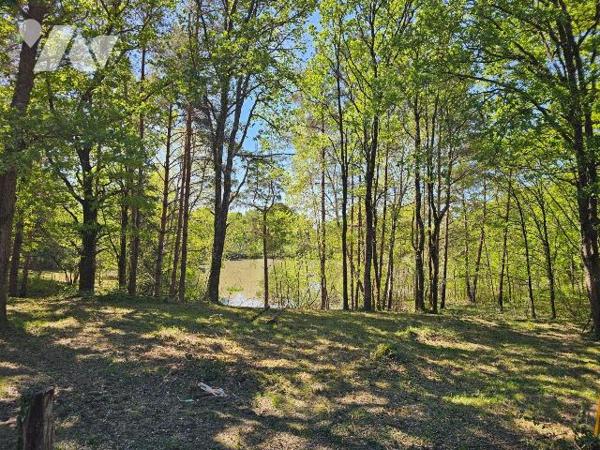 Dans un environnement boisé et paisible, découvrez cette propriété de loisirs d'environ 2 hecta...