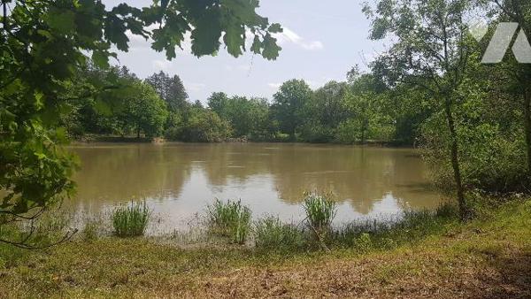 Dans un environnement boisé et paisible, découvrez cette propriété de loisirs d'environ 2 hecta...