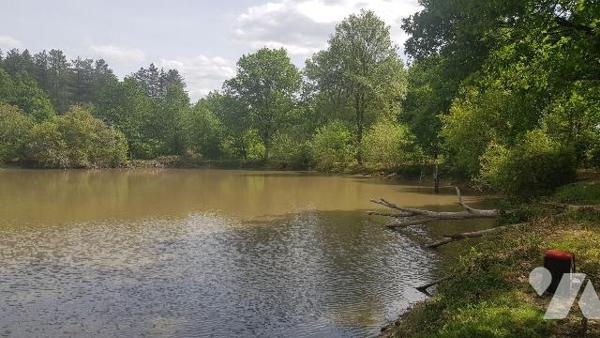 Dans un environnement boisé et paisible, découvrez cette propriété de loisirs d'environ 2 hecta...