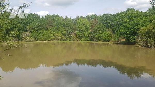 Dans un environnement boisé et paisible, découvrez cette propriété de loisirs d'environ 2 hecta...