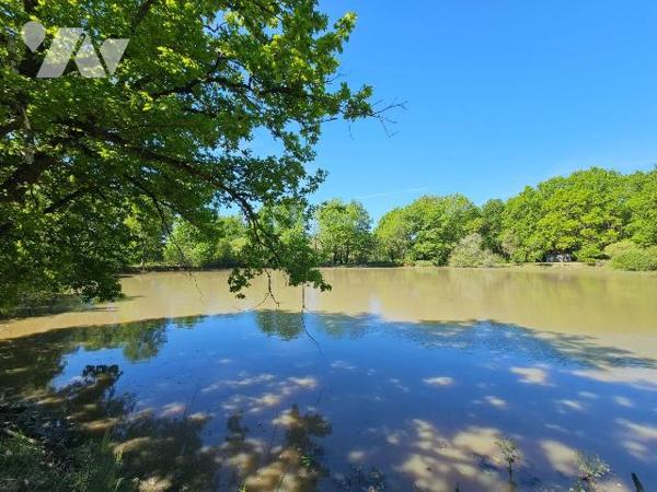 Dans un environnement boisé et paisible, découvrez cette propriété de loisirs d'environ 2 hecta...