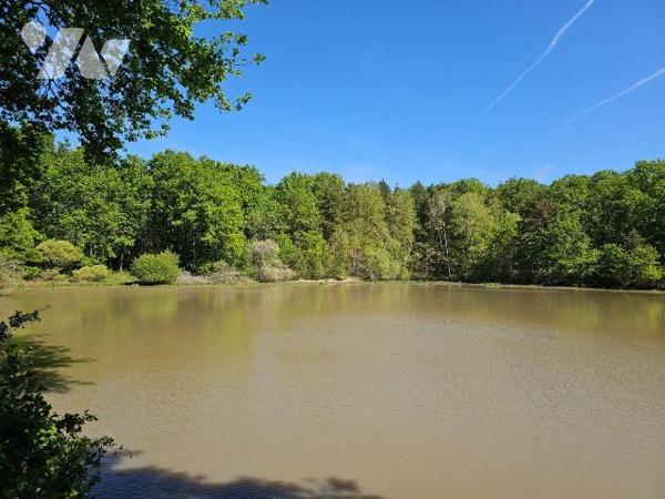 Dans un environnement boisé et paisible, découvrez cette propriété de loisirs d'environ 2 hecta...