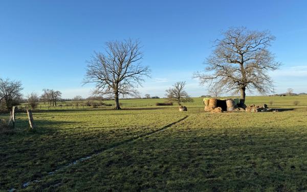 Terrain à vendre    Vic-de-Chassenay