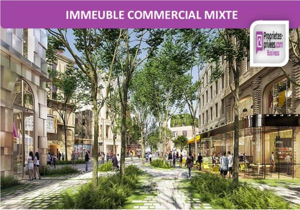 Proche ROUEN - Immeuble commercial mixte 700 m², Loué
