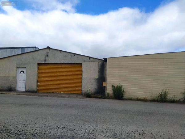 Achat - Fonds et/ou murs commerciaux Tinchebray-Bocage 61800 1950 m 2