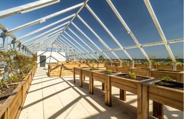 INVESTISSEMENT LOCATIF – LIMOGES – Résidence Seniors Les Jardins d'Arcadie - 5% de rentabilité