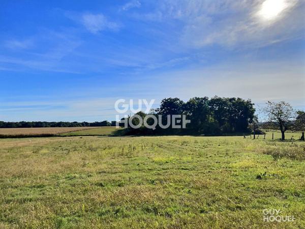 Terrain plat viabilisé 2041 m² proche Hagetmau