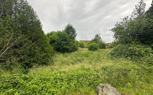 Terrain à vendre    Menoncourt