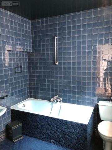 Local commercial à vendre à Issoudun dans l'Indre (36100), ref : 11813/1458