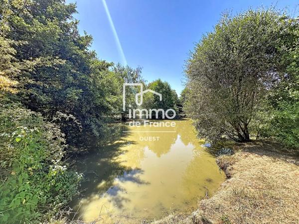 Terrain à vendre à Sainte-Gemmes-le-Robert (53600)