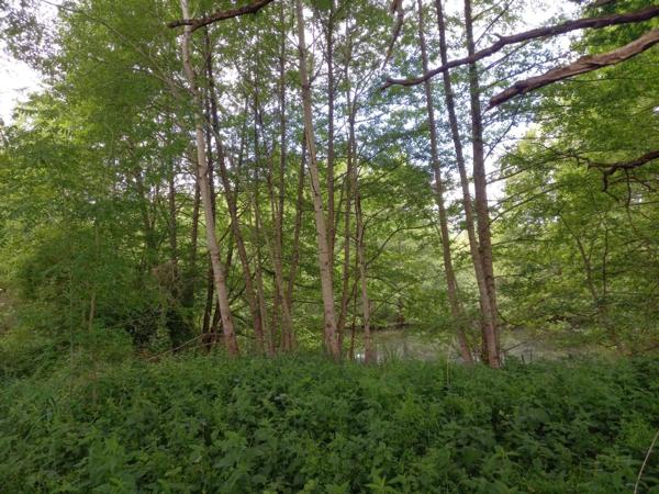 Terrain à vendre de 405,00 m² COURTEMAUX (45)