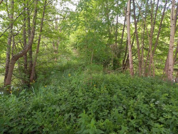 Terrain à vendre de 405,00 m² COURTEMAUX (45)
