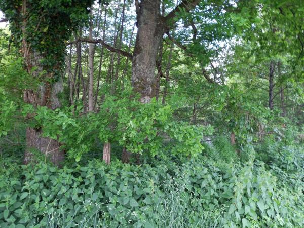 Terrain à vendre de 405,00 m² COURTEMAUX (45)