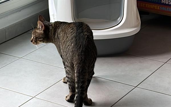 Maison à vendre    6 pièces •  Istres