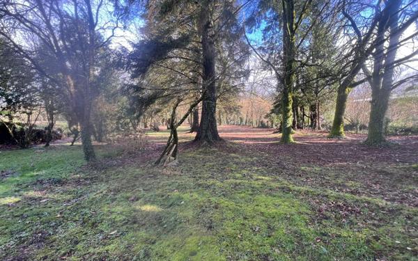 Maison à vendre    8 pièces • 207 m2 Rostrenen