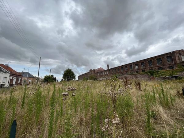 Terrain constructible