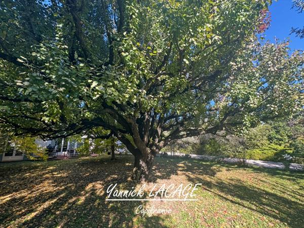 Propriété de charme avec piscine et dépendance – 156 m² – Terrain paysager 1 200 m² – Saint-Zacharie