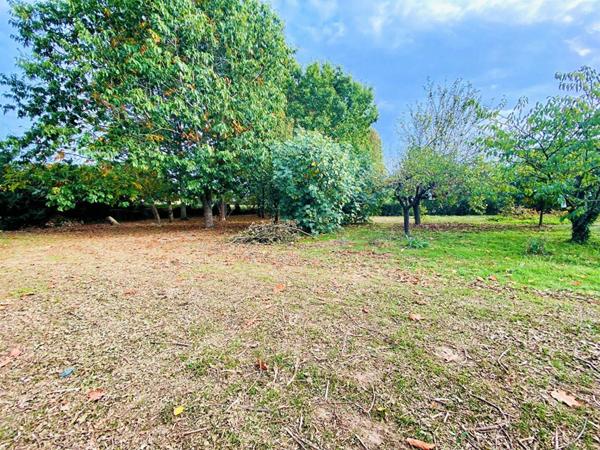 Terrain à vendre    Montech