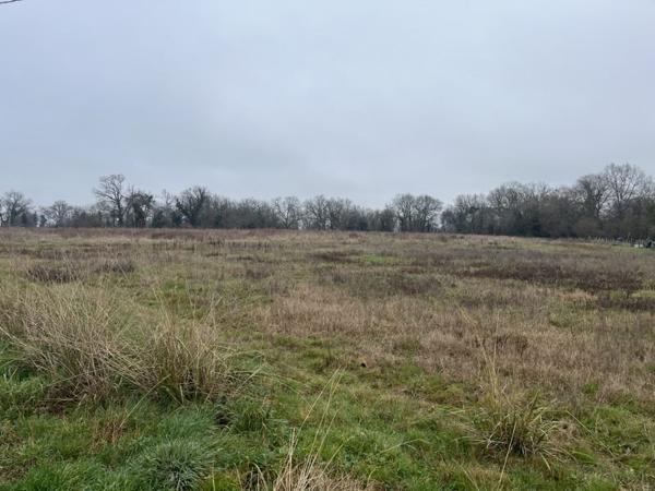 Terrain à vendre |  Saint-Sever |  2480 m²