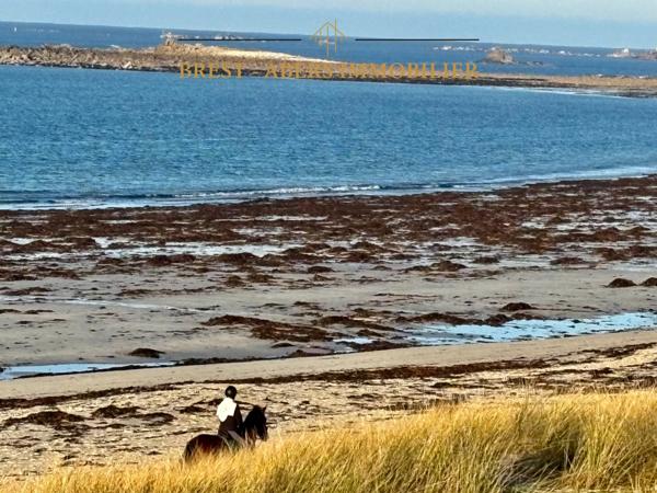 Plouguerneau (29880) Sylvie TROMELIN