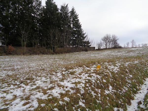 Sanssac L'Eglise(43), terrain constructible de 2.768 m2