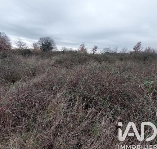 Terrain à vendre 3 865 m² Générac