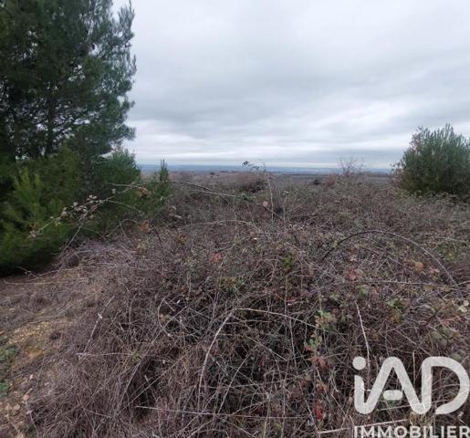 Terrain à vendre 3 865 m² Générac